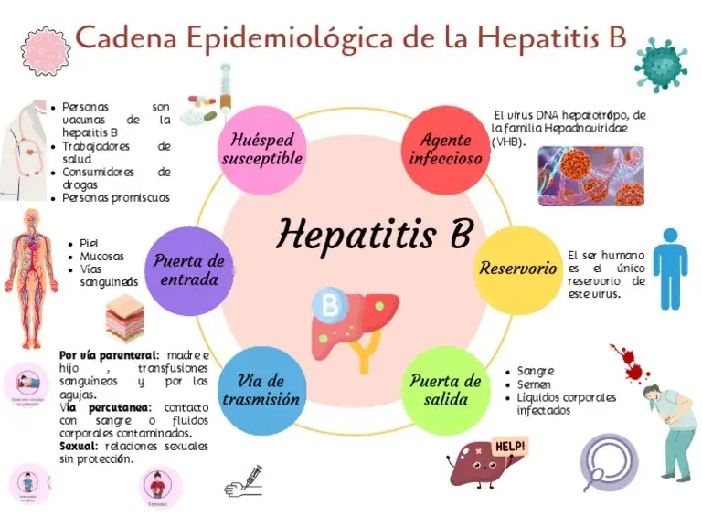 Hepatitis