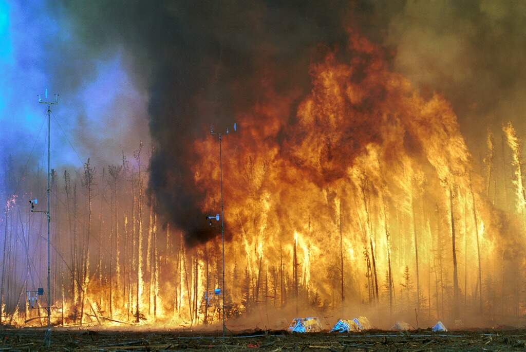 Ecuador enfrenta una grave crisis ambiental con incendios y sequía